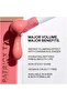Major Volume Plumping Lip Gloss 4.2ml – High-Shine, Fuller-Looking Lips 2 CC's - 4