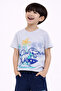 Boys Dino Surfer T-Shirt & Navy Shorts Set - 3