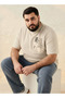 Men Regular Fit Crew Neck Short Sleeves Anime Print T-shirt