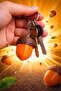 Acorn Design Clicker Keychain Stress Keychain - 5