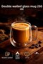 2-Piece Double Walled Glass Mug 250 ml Heat Preserving Transparent Coffee Tea Cup Espresso Glass Cup with Handle - 2