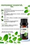 زيت النعناع العطري 10 مل - 2