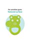Soft Teether Green Teddy Bear - 3