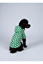 Cat and Dog Outfit & Dress & Raincoat - Blue Daisy Printed Mesh Raincoat - 3