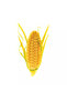 Silikomart Silicone Pastry & Cake Mold Corn Cob Pannocchia 20 Pannocchia 20