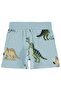 Dinosaur Kingdom Printed Shorts for Ages 2-5 - Blue - 2