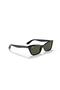 0RB2299 901-31 55 - 4