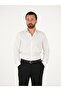 Premium Italian Collar Slim Fit Striped Men's Shirt - 8