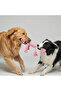 Rope Four-Way Dog Tug-Of-War Toy