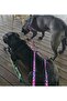Handmade-Double Carabiner Dog Leash. Hooks Are for Dogs between 20 and 50 Kilos. - 2