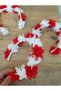 April 23 October 29 Red and White Crown, Birthday Bride Henna Night Wedding Circumcision Show and Party Crown - 3