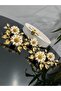 6-Piece Accessory Glass and Porcelain Holder, Compatible with All Serving Presentation Dishes, Bowl and Plate Accessories, Luxury - 5