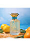 Hersh 2 Long Lasting Summer Perfume Orange Ginger Black Tea Unisex Eau de Parfum 100ml - 4