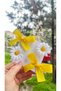 Girl's White Daisy Ribbon Buckle Set (3cm Metal Clip) - 2