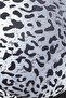 Padded Non-Wired Full Cup Animal Print T-Shirt Bra in Black - Lace - 5