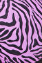 Padded Non-Wired Full Cup Zebra Print T-shirt Bra in Purple - 6