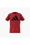 Boys Crew Neck T-Shirt With Logo Print - Cotton - Short Sleeves - 13