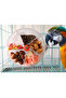 Bird Foraging Toys for Parrots Foraging Wheel for Large Parrots Seed Container Portable for Parak... - 2