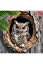 Round 20X20CM 2D Flat, Vintage Owl Metal Wall Art - 20.32x20.32 cm Waterproof & Rustproof Aluminum S - 3