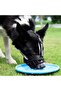 for 4-10KG Dog Adjustable Dog Muzzle Anti-Biting Dog Mouth Cover With Reflective Strip Can Drink Wat - 2