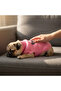 Pink Sweater with Butterfly for Cat and Dog - 2
