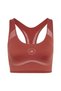 Women's Brown Sports Bra Asmc Tpr Pi Bra Jy8134