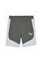 Mens EVOSTRIPE Shorts - Gray - 6