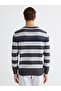 Crew Neck Striped Men's Knitwear Sweater - 4