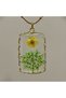 316L Steel Anti-Tarnish Women's Necklace |   Gold Color Daisy Women's Necklace - 3