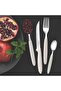 Ipanema 25-Piece Flatware Set - 4