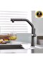 Kitchen Sink Faucet with Water Purification Outlet, 2-Function Sprinkler, Spiral Anthracite, 7 Years Warranty, Imported