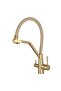 Kitchen Sink Faucet with Dual Flow Water Purification Outlet, Matte Gold Spiral, 7 Years Warranty, Imported - 2