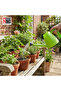 Garden Watering Can with Long Spout & Shower Head, Lightweight Plastic, Green - 6