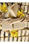 Bath Delight with the First Special Series of 5 Items - 2