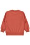 Skateboard Dog Printed Sweatshirt for Ages 2-5 - Orange 3-4 Years - 2
