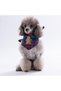 Cookie Jingle Cookie Man Embroidered Plaid Pattern Green Cat Dog Scarf Pet Bandana Dog Bandana - 2