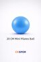 20 cm Mini Pilates Ball – for Balance, Abdominal and Leg Exercises - 6