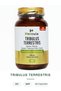 Tribulus Terrestris 500 Mg 90% Saponin – Herbal Supplement Specially for Men (60 Capsules)