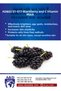 Gsg-01-017 – Mask with Black Mulberry Extract and Vitamin C, Peelable, Colored, 30 Gr - 3