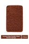 Opportunity Set: 100% Natural 2 Pieces of Coconut Fiber Sponge and 2 Compressed Cellulose Sponges - 4