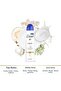 Deodorant original 150 ml - 6