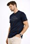 تي شيرت HILFIGER CURVE LOGO TEE - 3