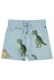 Dinosaur Kingdom Printed Shorts for Ages 2-5 - Blue