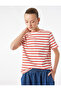 Cotton Short Sleeve Crew Neck Stripe T-Shirt - 2