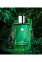 عطر ييز آي آم ذا كينج إيفولوشن أو دو بارفان للرجال 100 مل