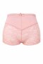 Gob Signature Plus Size Lace Shorts Panty