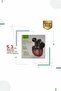BLUETOOTH HEADPHONE BAVIN-19