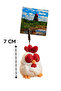 Sevimli Tavuk Not & Fotoğraf Tutucu - 5