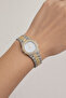 Stoned Gold Iced Out Watch