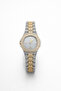 Stoned Gold Iced Out Watch - 4